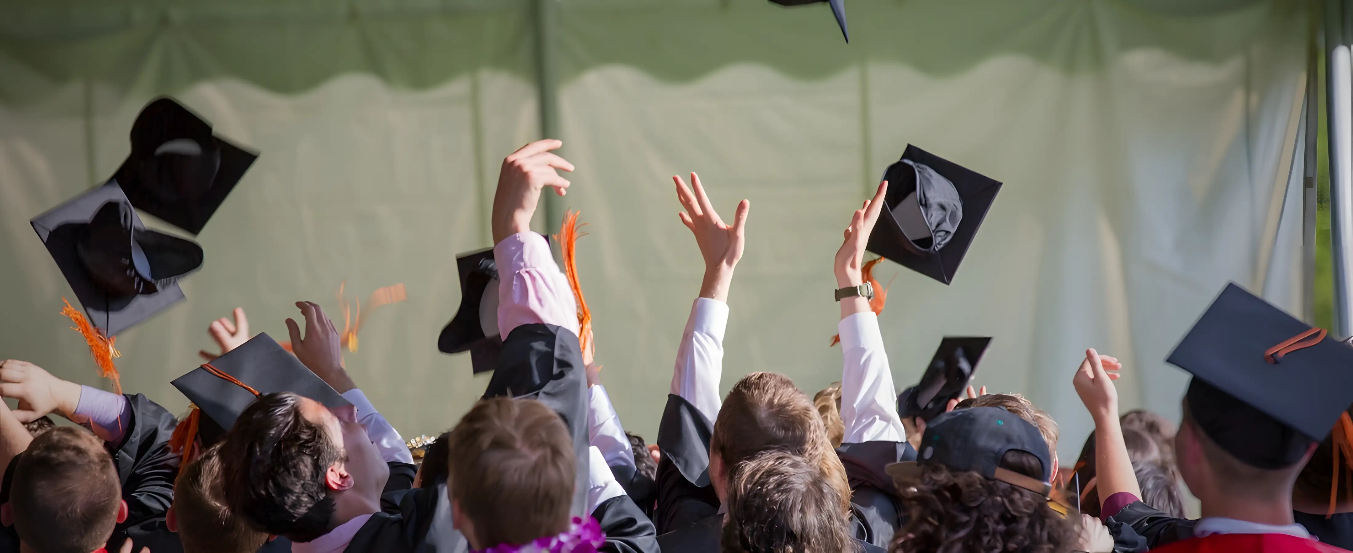 ¡Haz del 2025 el año de tu crecimiento profesional!